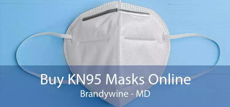 Buy KN95 Masks Online Brandywine - MD