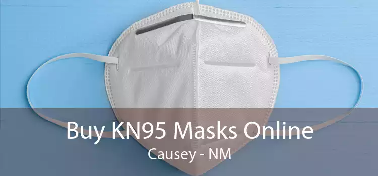 Buy KN95 Masks Online Causey - NM